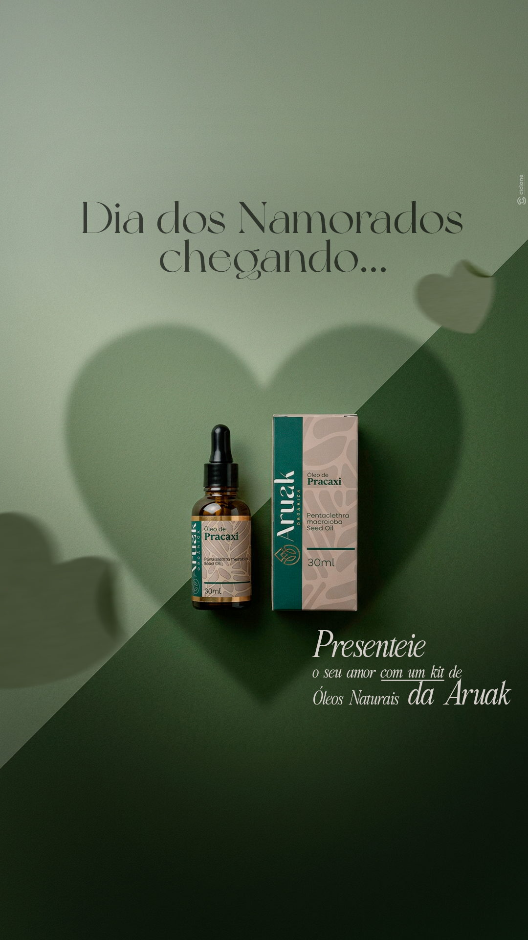 Aruak Orgânica — Identidade
