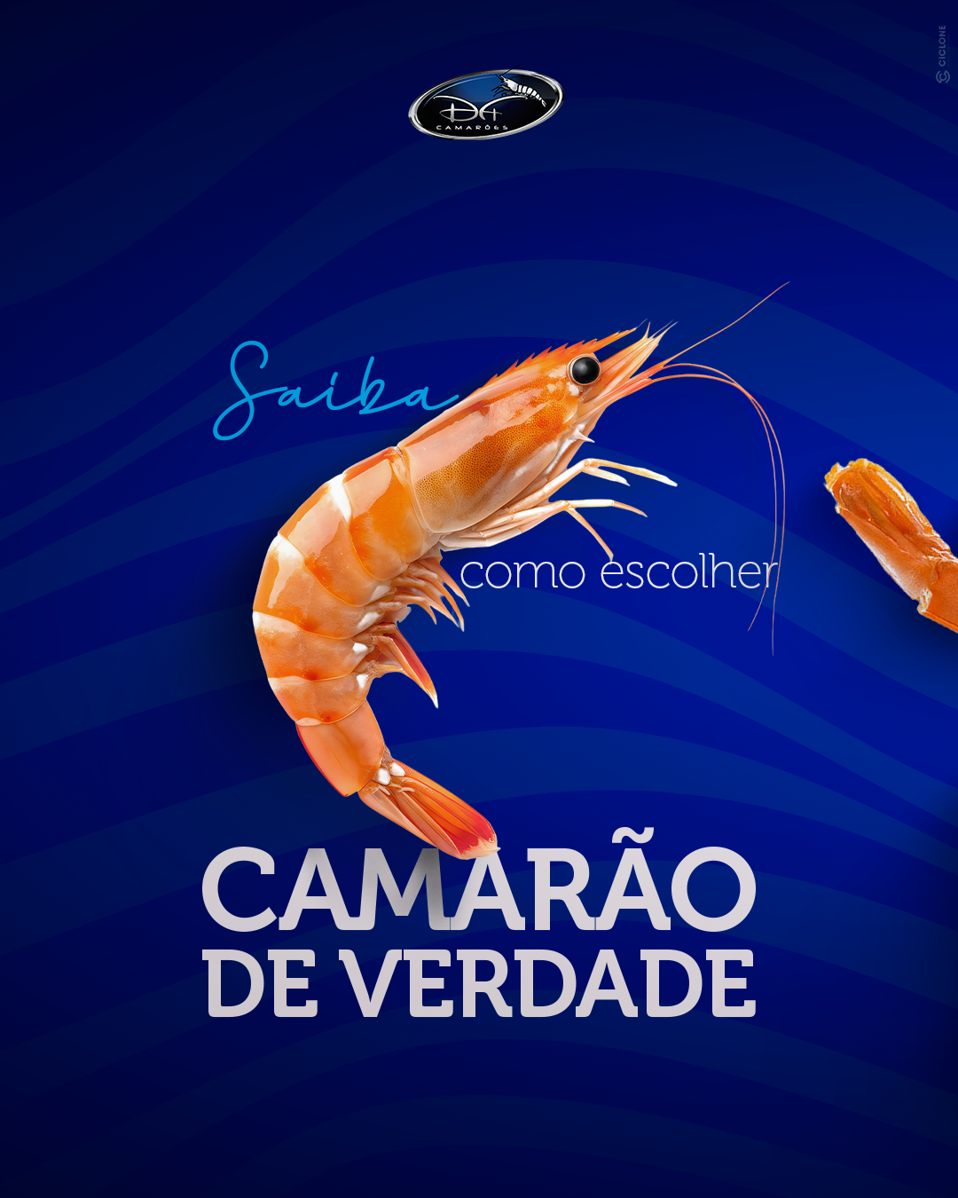 DF Camarões — Design